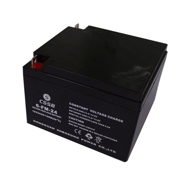 CSSB AGM BATTERY VRLA BATTERY LEAD ACID BATTERY 12V 24ah